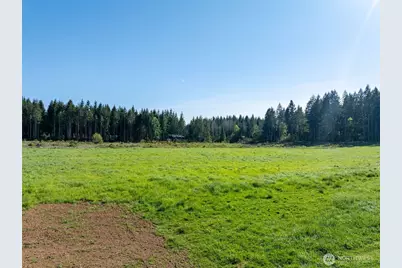0 McGlaughlin Road #3, Winlock, WA 98596 - Photo 12