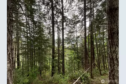 6 X N Colony Surf Drive, Lilliwaup, WA 98555 - Photo 4