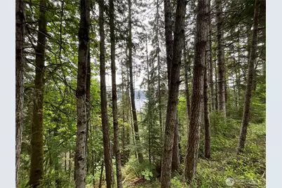 6 X N Colony Surf Drive, Lilliwaup, WA 98555 - Photo 8