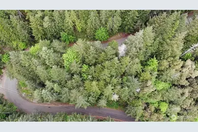 1 N Colony Surf Drive, Lilliwaup, WA 98555 - Photo 16