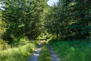 2783 Orcas Rd, Orcas Island, WA 98245 - Photo 30