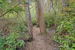 9355 Misery Point Rd NW, Seabeck, WA 98380 - Photo 36