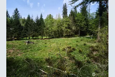 140 Skinner Road, Woodland, WA 98674 - Photo 26