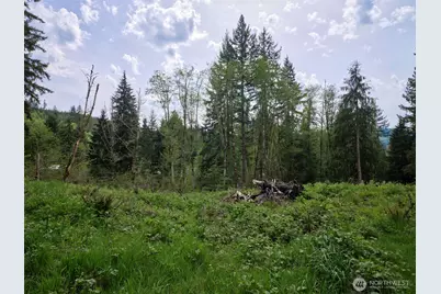140 Skinner Road, Woodland, WA 98674 - Photo 20