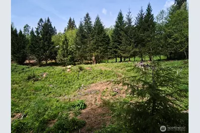 140 Skinner Road, Woodland, WA 98674 - Photo 30