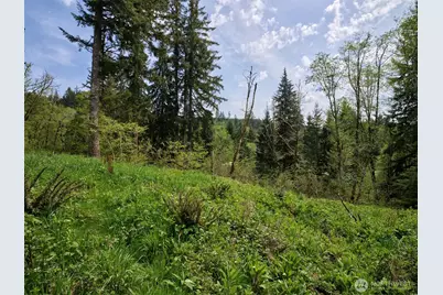 140 Skinner Road, Woodland, WA 98674 - Photo 10