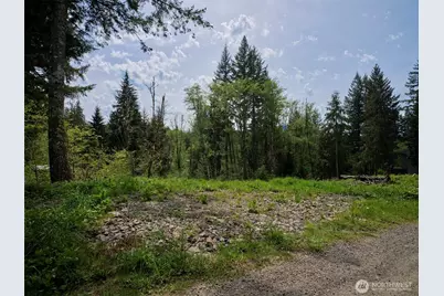 140 Skinner Road, Woodland, WA 98674 - Photo 8