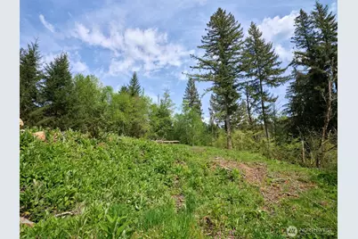 140 Skinner Road, Woodland, WA 98674 - Photo 14