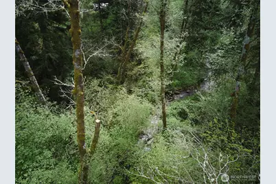 140 Skinner Road, Woodland, WA 98674 - Photo 22