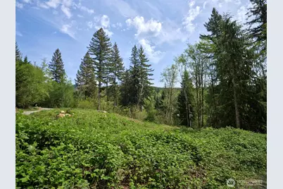 140 Skinner Road, Woodland, WA 98674 - Photo 12