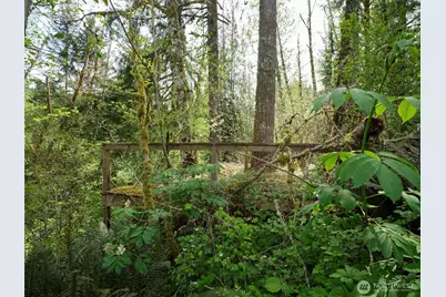 140 Skinner Road, Woodland, WA 98674 - Photo 16