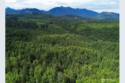 9999 Blue Mountain Road, Port Angeles, WA 98362 - Photo 1
