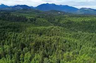 9999 Blue Mountain Rd, Port Angeles, WA 98362 - Photo 1