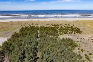 1100 212th Ln, Ocean Park, WA 98640 - Photo 1