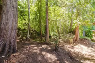 150 E Cedar St, Belfair, WA 98528 - Photo 34