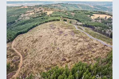0 Lot 4 Hamilton Heights Road, Kelso, WA 98626 - Photo 8