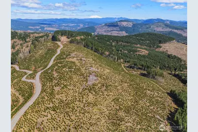 0 Lot 4 Hamilton Heights Road, Kelso, WA 98626 - Photo 14