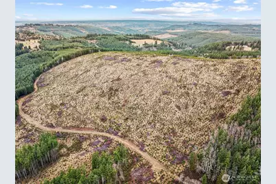 0 Lot 4 Hamilton Heights Road, Kelso, WA 98626 - Photo 10