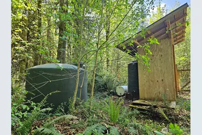 313 Larch Road, Quilcene, WA 98376 - Photo 22