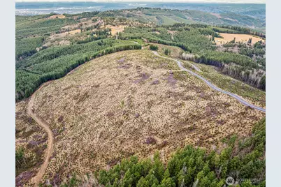 0 Lot 2 Mt Brynion Road, Kelso, WA 98626 - Photo 24