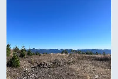 0 Lot 2 Mt Brynion Road, Kelso, WA 98626 - Photo 22