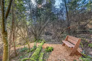 70 Lot 5&29 Olga Park Ln, Orcas Island, WA 98279 - Photo 34