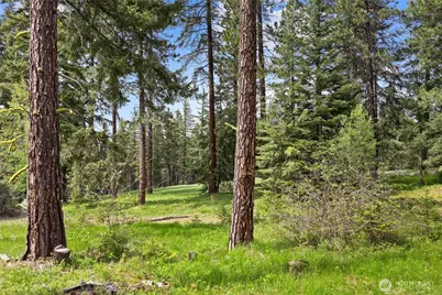 261 Maple Leaf Loop, Cle Elum, WA 98922 - Photo 8