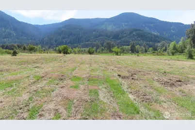 295 River Ranch Road, Randle, WA 98377 - Photo 1