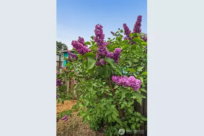 7112 141st Avenue E, Sumner, WA 98390 - Photo 18