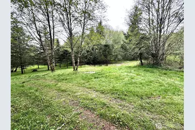 0 40 Acres 143rd Avenue SE, Tenino, WA 98589 - Photo 8