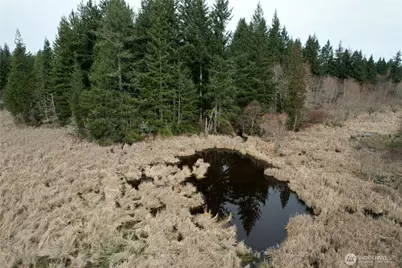 0 40 Acres 143rd Avenue SE, Tenino, WA 98589 - Photo 14
