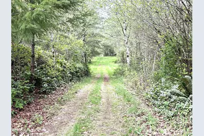0 40 Acres 143rd Avenue SE, Tenino, WA 98589 - Photo 10