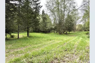 0 40 Acres 143rd Avenue SE, Tenino, WA 98589 - Photo 6