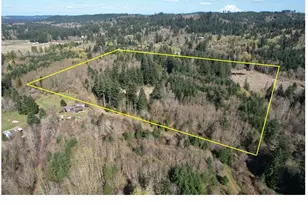0 40 Acres 143rd Ave SE, Tenino, WA 98589 - Photo 1