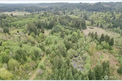 0 40 Acres 143rd Avenue SE, Tenino, WA 98589 - Photo 4