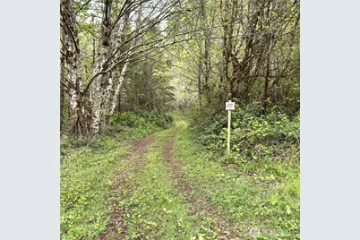 0 40 Acres 143rd Avenue SE, Tenino, WA 98589 - Photo 12