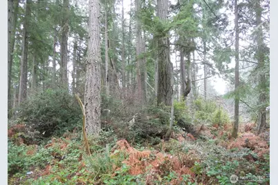 10315 107th Avenue Ct, Anderson Island, WA 98303 - Photo 1
