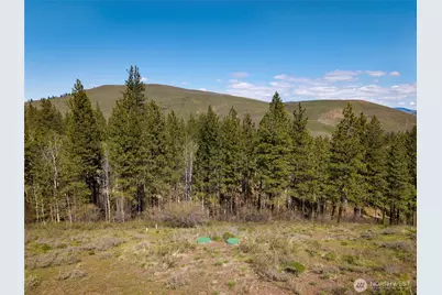 0 Lot #70 Whitebark Lane, Winthrop, WA 98862 - Photo 12