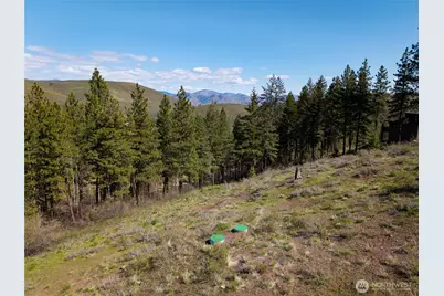 0 Lot #70 Whitebark Lane, Winthrop, WA 98862 - Photo 6