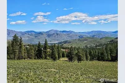 0 Lot #70 Whitebark Lane, Winthrop, WA 98862 - Photo 18