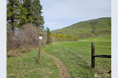 0 Lot #70 Whitebark Lane, Winthrop, WA 98862 - Photo 20