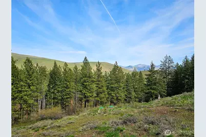 0 Lot #70 Whitebark Lane, Winthrop, WA 98862 - Photo 2