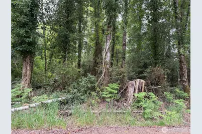 285 Xx Z Street, Ocean Park, WA 98640 - Photo 2