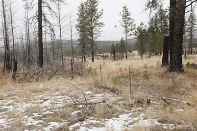 227 Lot 17 Red Feather Road, Tonasket, WA 98855 - Photo 30