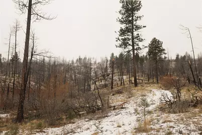227 Lot 17 Red Feather Road, Tonasket, WA 98855 - Photo 34