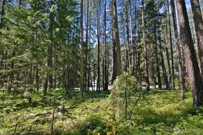 0 Lot 10 S Lake Cabins Road, Ronald, WA 98940 - Photo 4