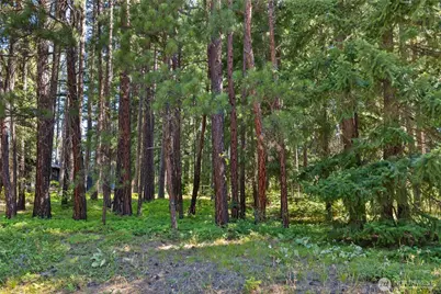 0 Lot 10 S Lake Cabins Road, Ronald, WA 98940 - Photo 1