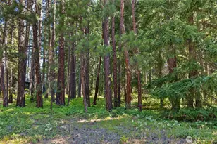 0 Lot 10 S Lake Cabins Rd, Ronald, WA 98940 - Photo 1