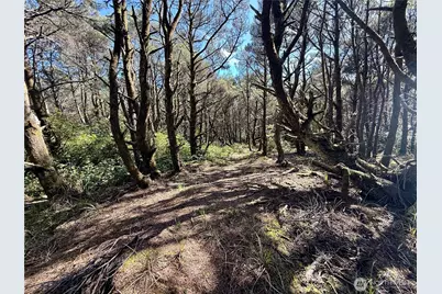 1005 Sand Castle Lane, Westport, WA 98595 - Photo 28
