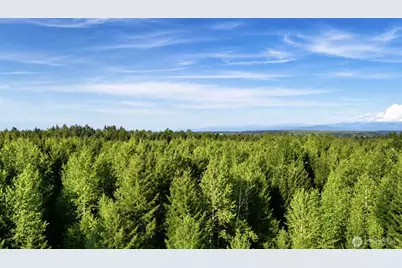 15313 Sunnyside Lane SE, Yelm, WA 98509 - Photo 2